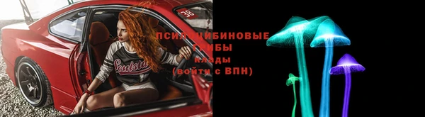 не бодяженный Алексин