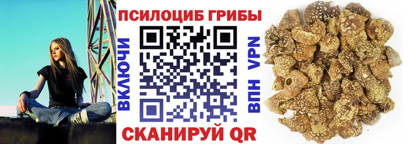 Псилоцибиновые грибы Magic Shrooms  мега ONION  Мичуринск 